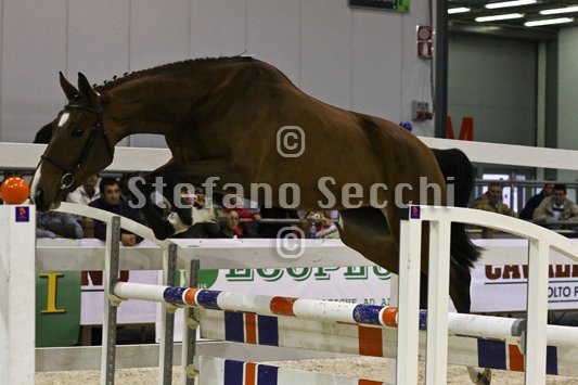 NADA BRAUN_MILANO_2010_SS3_1547.jpg